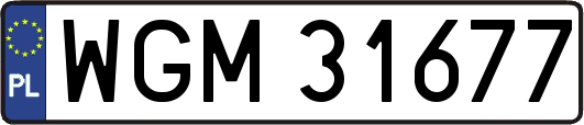 WGM31677
