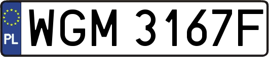 WGM3167F