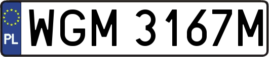 WGM3167M