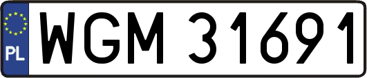 WGM31691