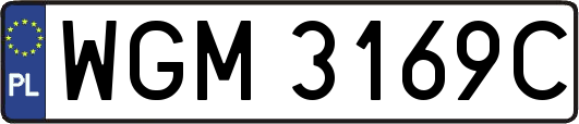 WGM3169C