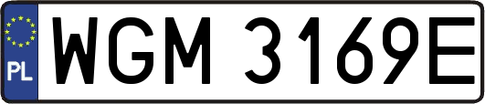 WGM3169E