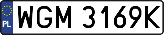 WGM3169K