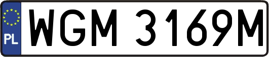 WGM3169M