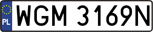 WGM3169N