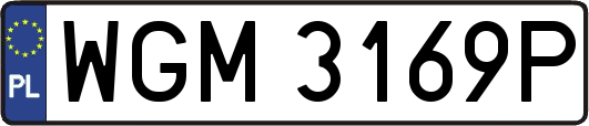 WGM3169P