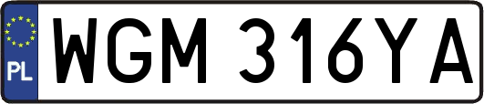 WGM316YA