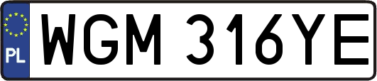 WGM316YE