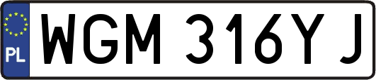 WGM316YJ