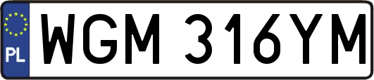 WGM316YM