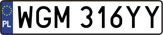 WGM316YY