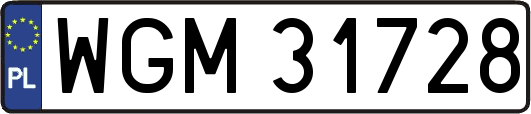 WGM31728