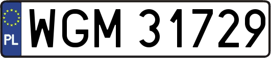 WGM31729