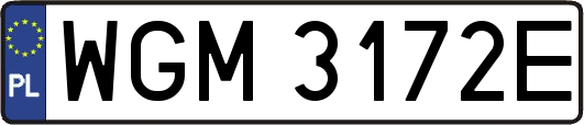 WGM3172E