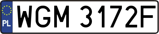 WGM3172F