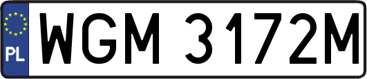 WGM3172M