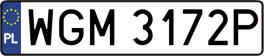 WGM3172P