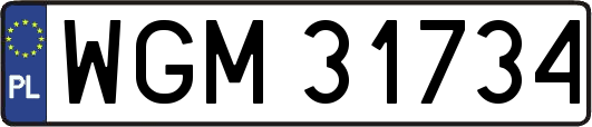 WGM31734