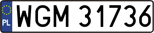 WGM31736