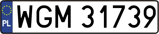 WGM31739
