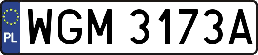 WGM3173A
