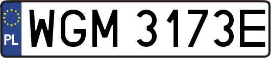 WGM3173E