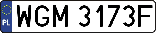 WGM3173F