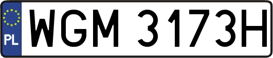 WGM3173H