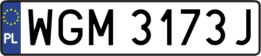 WGM3173J