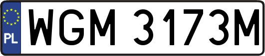 WGM3173M