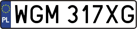 WGM317XG