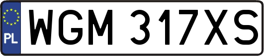 WGM317XS