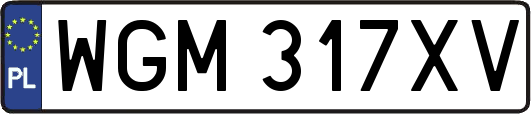 WGM317XV