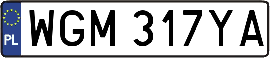 WGM317YA