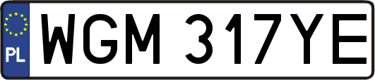 WGM317YE