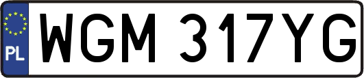WGM317YG