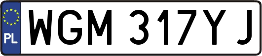 WGM317YJ