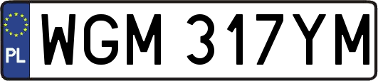WGM317YM