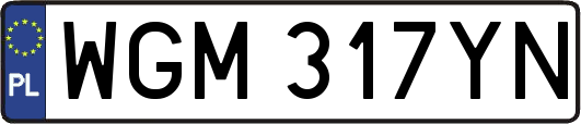 WGM317YN