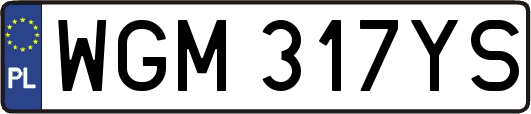 WGM317YS