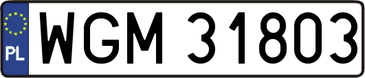 WGM31803