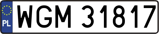 WGM31817