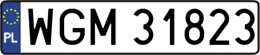 WGM31823