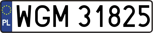 WGM31825