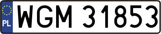 WGM31853