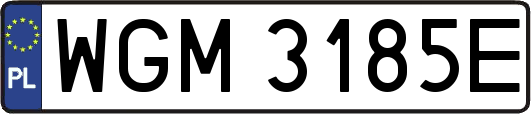 WGM3185E