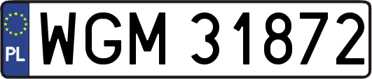 WGM31872