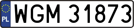 WGM31873