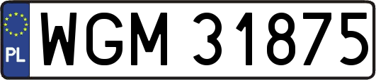WGM31875