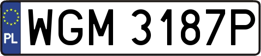 WGM3187P